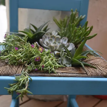 Pansiyon Maison Momes *