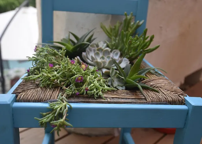 Privat bolig Maison Momes *